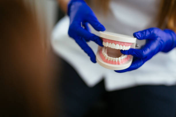 Best Dental X-Rays and Imaging  in East Lake, FL
